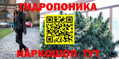 spice Новокубанск