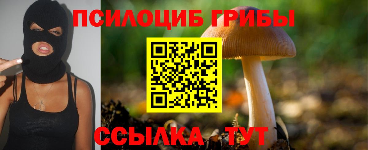 Реж  Псилоцибиновые грибы Cubensis  Вход с VPN  Галлюциногенные грибы Psilocybe 